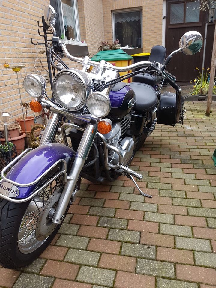 Honda Schadow 750 in Gartz (Oder)