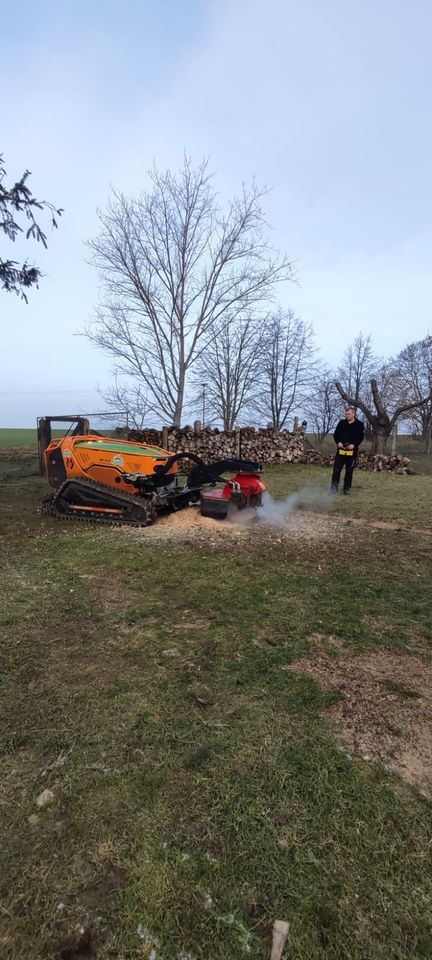 Mähen Mulchen Grünschnitt Steilhang Holz rücken Bäume fällen in Weiden b Weimar Thür