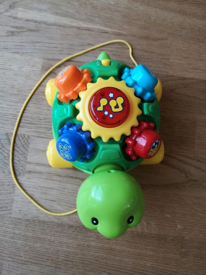 Spielzeug Schildkröte von Vtech in Hörstel