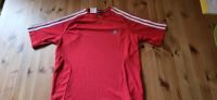 Adidas Sport Shirt rot Gr.164 climalite Baden-Württemberg - Breisach am Rhein   Vorschau
