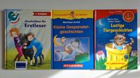 3 Bücher für Erstleser Baden-Württemberg - Oberderdingen Vorschau