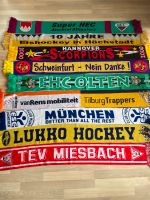 Eishockey Schals Bayern - Fürth Vorschau