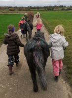 Kindergeburtstag Pony Ponymomente Ponywanderung Familienevent Hessen - Niddatal Vorschau