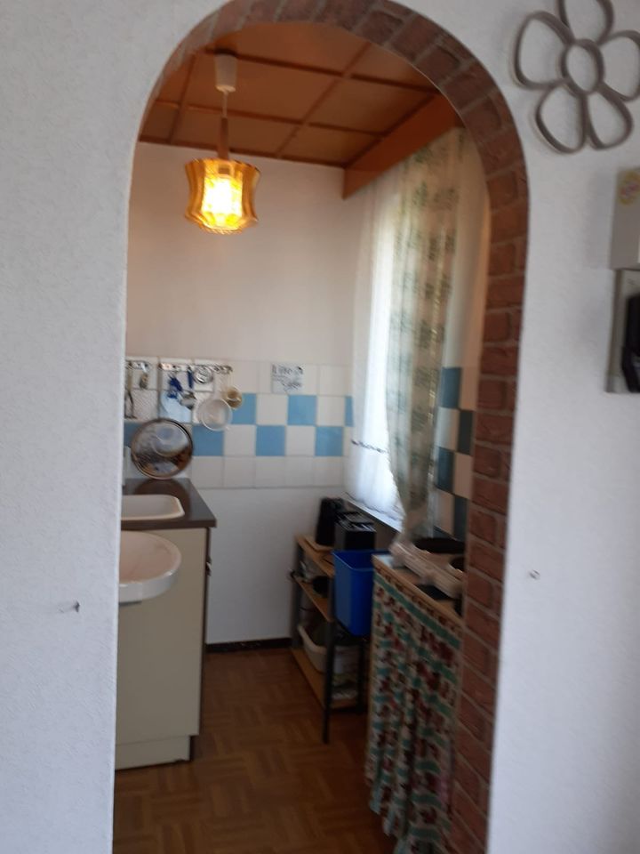 Kleingarten, Schrebergarten 300qm mit massiven Bungalow 28 qm in Eisenhüttenstadt