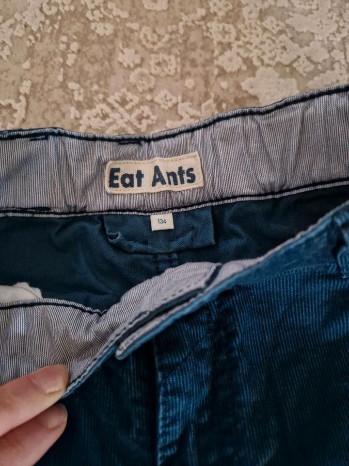 Kleiderpaket 134 2 Hosen, 1 Langarmshirt Eat Ants, Review in Hamburg
