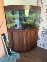 Juwel Eckaquarium 190 Liter Thüringen - Schmalkalden Vorschau