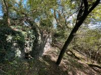 Weinberg/Weingarten: Grundstück bei der Kreuzbergkapelle in Merzig zu verkaufen Saarland - Merzig Vorschau