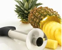 Edelstahl Schäler für Ananas Hessen - Schlüchtern Vorschau
