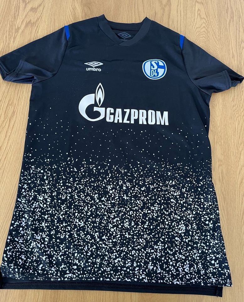 Schalke 04 Trikot in Emsbüren