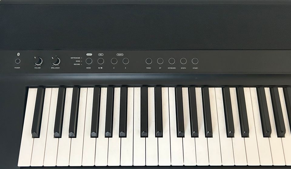 Digital Piano Medeli SP201plus + Ständer und Sustain Pedal in Paderborn