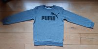 Puma Sweatshirt grau, Größe 164 Rheinland-Pfalz - Traben-Trarbach Vorschau