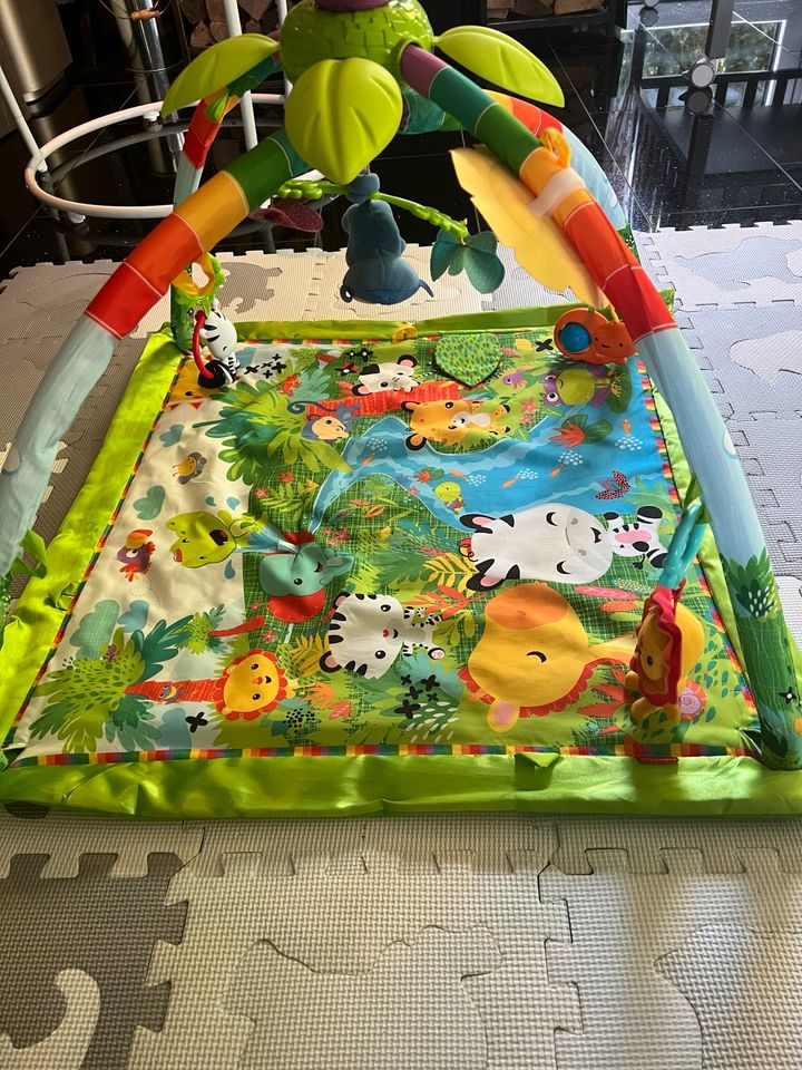 Fisher-Price Rainforest Erlebnisdecke in Rathenow