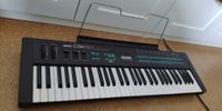 Yamaha DX 21 - Vintage Synthesizer Hessen - Hanau Vorschau