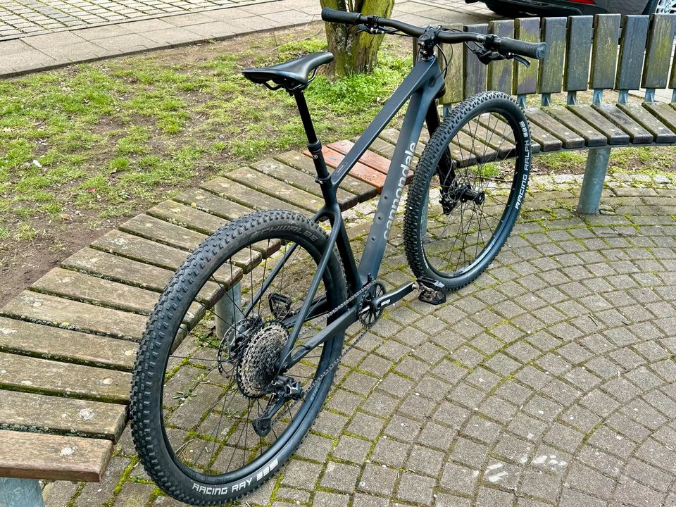 Cannondale Scalpel HT in Magdeburg