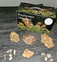 NEUE Aquarium Terrarium Deko Drachenstein Ohko Rock Niedersachsen - Melle Vorschau