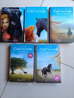 Ostwind Band 1-5 (NEU und ungelesen) Rheinland-Pfalz - Kirn Vorschau