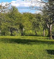 Suchen schönes Baugrundstück in Lich Hessen - Lich Vorschau