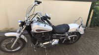 Dyna Low Rider 96 CUI Nordrhein-Westfalen - Leverkusen Vorschau