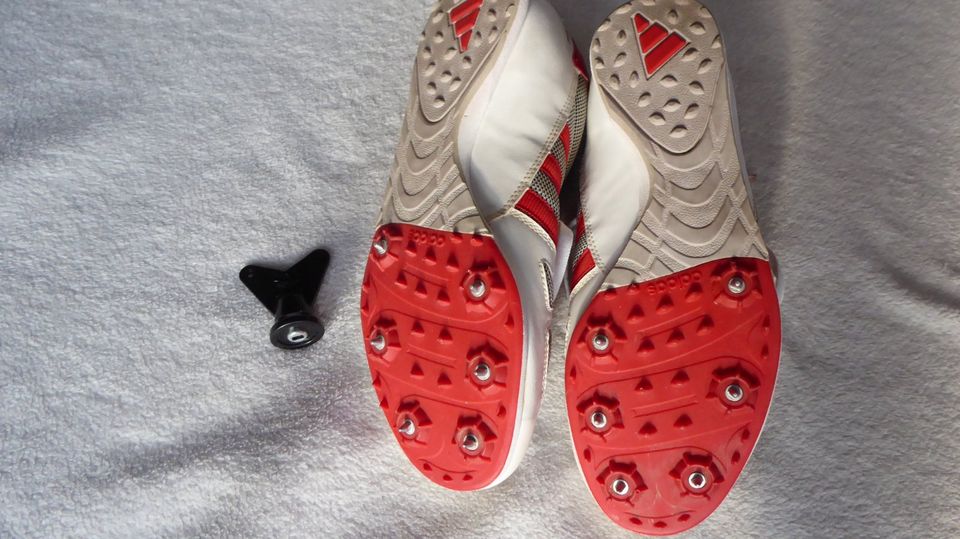 Adidas Spike-Schuh Sprint Laufschuhe Spikes Sportschuhe Größe 9 in Kriftel