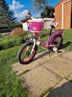 Kinderfahrrad Nixe 16Zoll mit Körbchen Sachsen - Rötha Vorschau