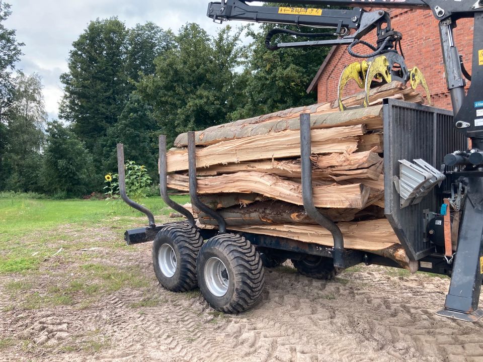 Brennholz Buche in Wrestedt