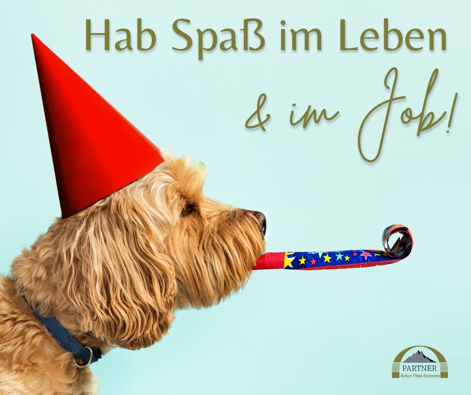 Network Marketing für Hund- und Katzenliebhaber/innen in Rosenheim