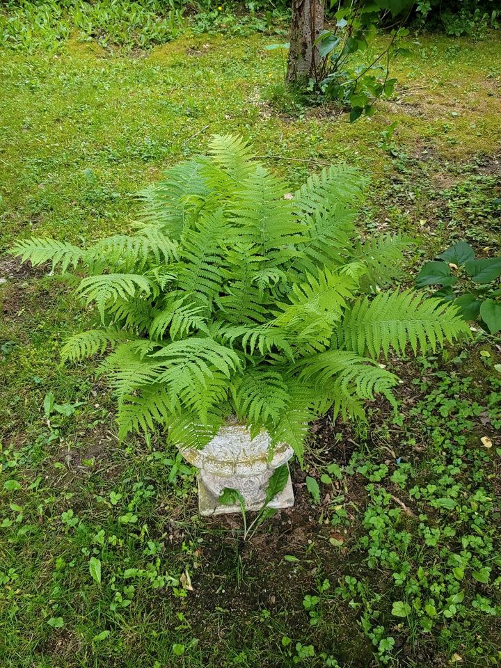 Amphore für Garten in München