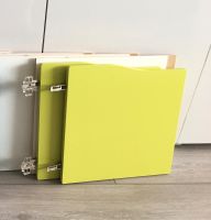 Ikea Kallax Tür mit Einsatz 2 x grün Nordrhein-Westfalen - Neuss Vorschau
