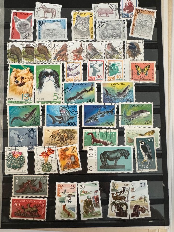 Briefmarkenalben geerbt in Leipzig