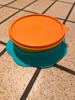 Tupperware TupperCare Kinderteller mit Deckel rutschfest 3-tlg. Nordrhein-Westfalen - Mönchengladbach Vorschau