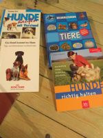Hundebücher ideal für Leute die sich einen Hund anschaffen wollen Niedersachsen - Bad Essen Vorschau