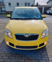 Skoda Fabia 1.9 TDI Hessen - Wolfhagen  Vorschau