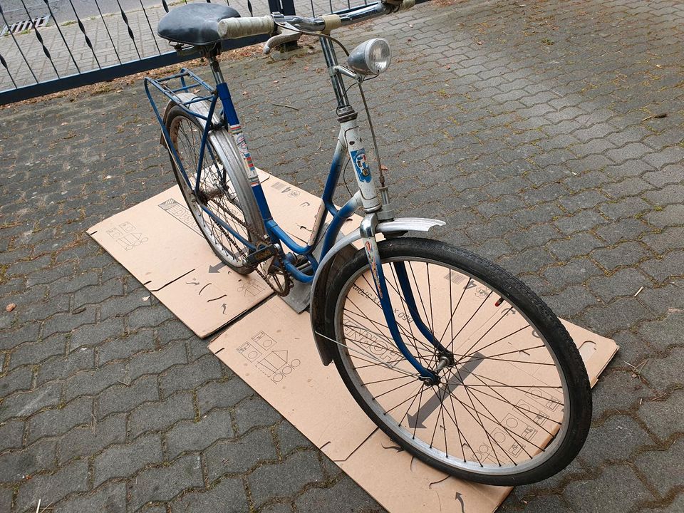 Diamant Damen Fahrrad Retro in Leipzig