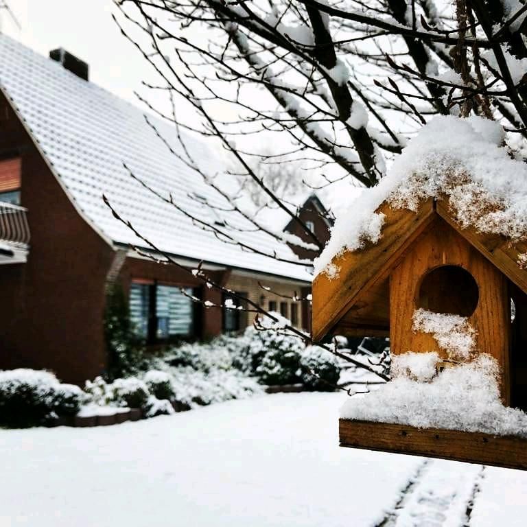 Wunderschöne Ferienwohnungen in Haren/Ems nähe Schloss Dankern in Haren (Ems)