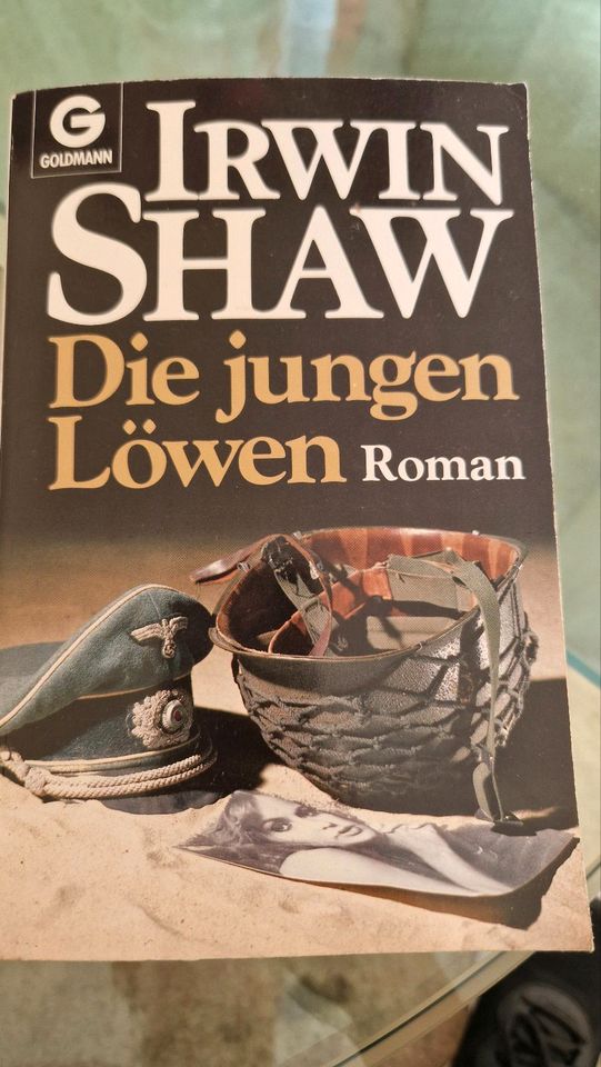 Die jungen Löwen von Irwin Shaw in Berlin