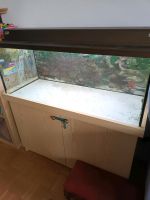 120 Liter Glasaquarium/Terrarium München - Hadern Vorschau