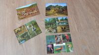 5 alte Postkarten vom Vogelpark Walsrode und der Heide Niedersachsen - Verden Vorschau