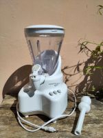 Blender Mixer KENWOOD  "New York Smoothie" 1,5L Schleswig-Holstein - Ammersbek Vorschau