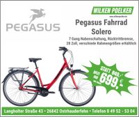 Pegasus Solero Trekkingrad rot Damen 7 Gang mit Rücktritt Niedersachsen - Ostrhauderfehn Vorschau
