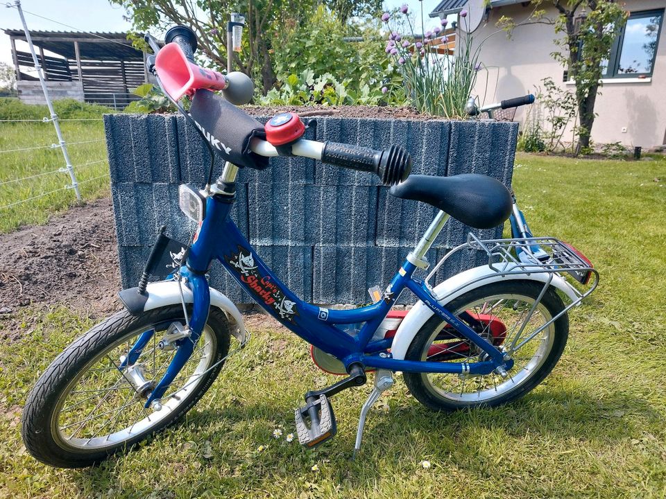 Puky Kinderfahrrad 16 Zoll Capt'n Sharky in Wunstorf