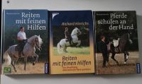 Buch DVD Reiten mit feinen Hilfen Pferde schulen an Hand Hinrichs Hessen - Diemelsee Vorschau