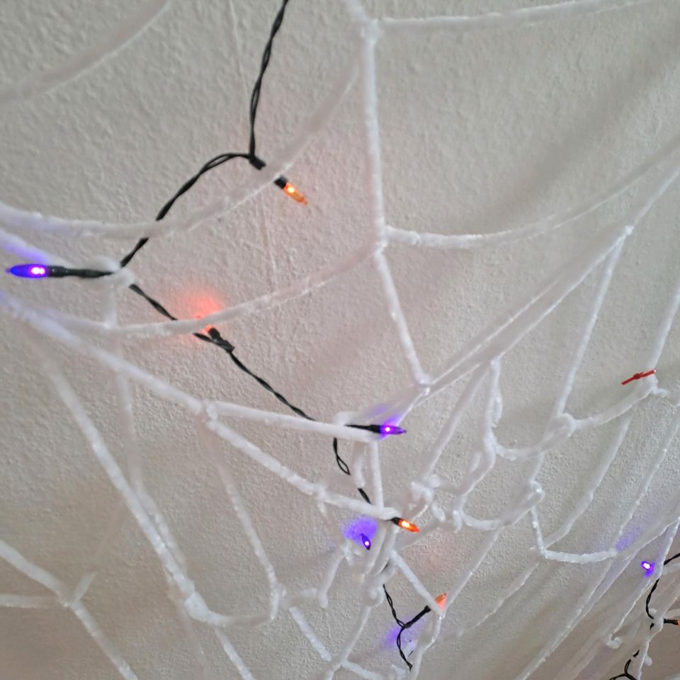 Halloween Spinnennetz Lichterkette in Uhingen