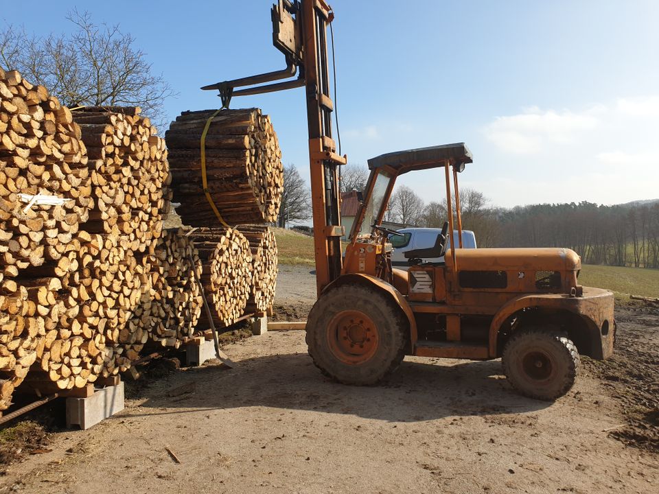 Regionales Nachhaltiges Brennholz Kaminholz Feuerholz in Neustadt b.Coburg