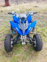 Yamaha Quad YFM 250 R Strassenzulassung Brandenburg - Schipkau Vorschau