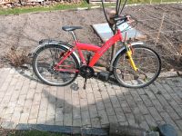 Fahrrad Fahrräder Sachsen - Bad Muskau Vorschau