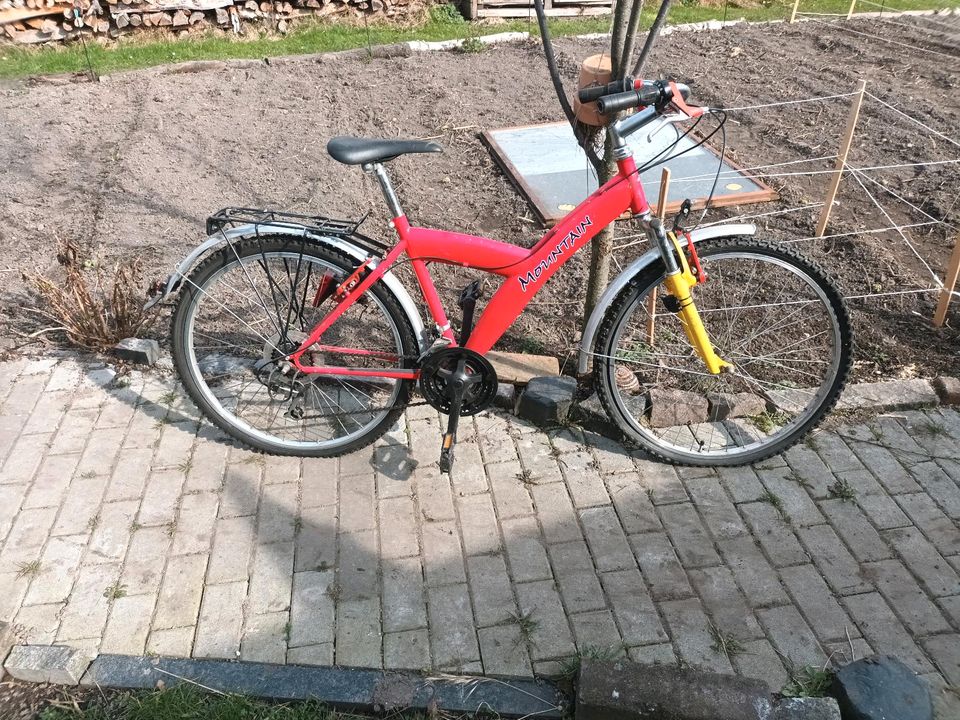 Fahrrad Fahrräder in Bad Muskau