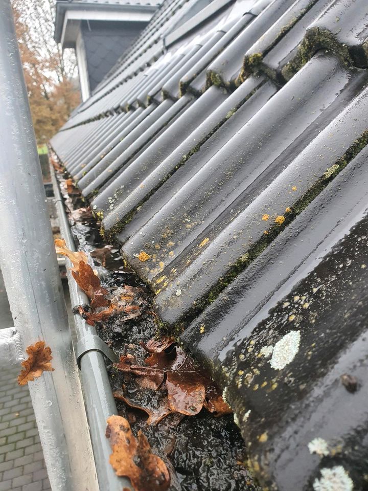 Regenrinnen Dachrinnen Reinigung in Osterholz-Scharmbeck