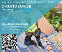 Dachdecker (m/w/d) gesucht - keine Montage - ab 19 € Sachsen-Anhalt - Bitterfeld Vorschau