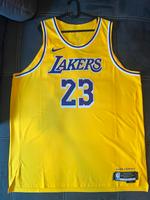 Nike LA Lakers LeBron James authentic Trikot NEU XXXL/3XL Schleswig-Holstein - Oering Vorschau