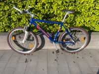 Mountainbike Hardtail Freerider Nordrhein-Westfalen - Simmerath Vorschau